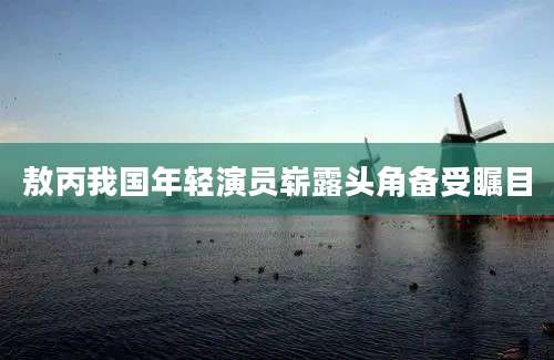 敖丙我国年轻演员崭露头角备受瞩目