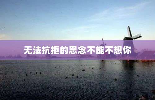 无法抗拒的思念不能不想你