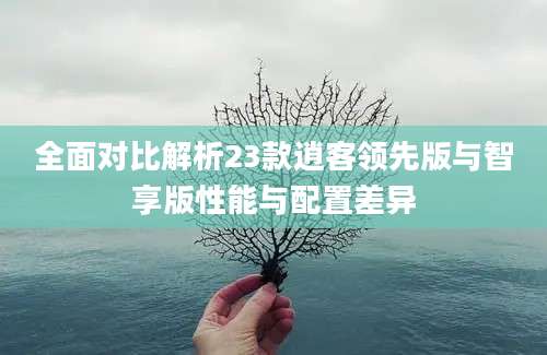全面对比解析23款逍客领先版与智享版性能与配置差异