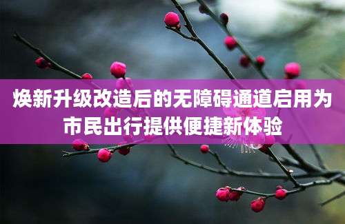 焕新升级改造后的无障碍通道启用为市民出行提供便捷新体验