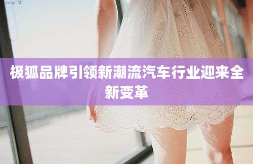 极狐品牌引领新潮流汽车行业迎来全新变革
