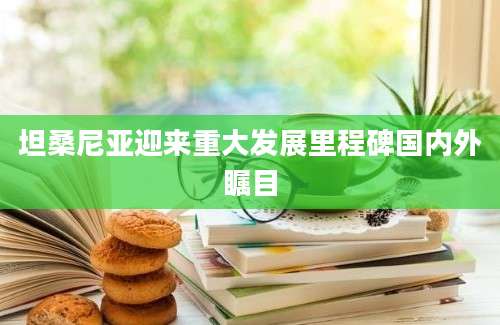 坦桑尼亚迎来重大发展里程碑国内外瞩目