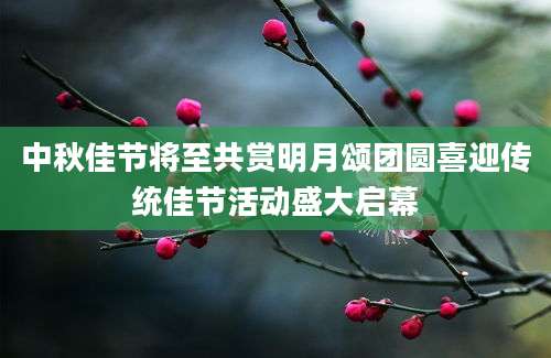 中秋佳节将至共赏明月颂团圆喜迎传统佳节活动盛大启幕