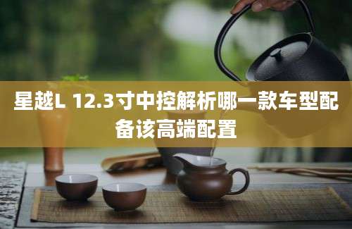 星越L 12.3寸中控解析哪一款车型配备该高端配置