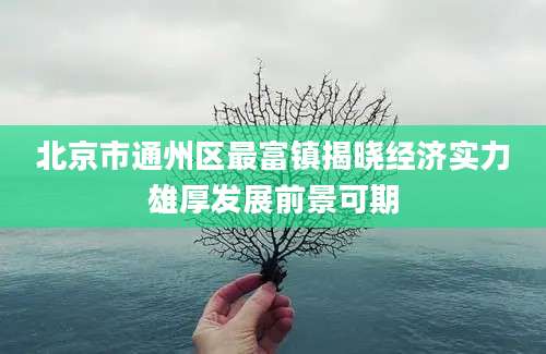 北京市通州区最富镇揭晓经济实力雄厚发展前景可期
