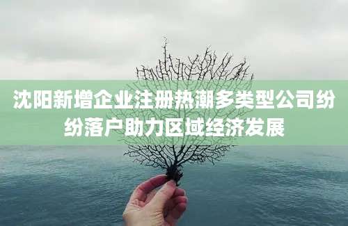 沈阳新增企业注册热潮多类型公司纷纷落户助力区域经济发展