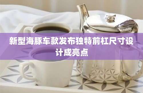 新型海豚车款发布独特前杠尺寸设计成亮点