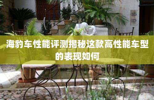 海豹车性能评测揭秘这款高性能车型的表现如何