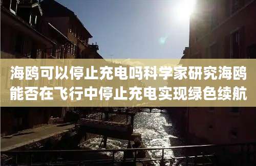 海鸥可以停止充电吗科学家研究海鸥能否在飞行中停止充电实现绿色续航