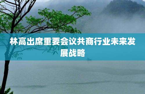 林高出席重要会议共商行业未来发展战略