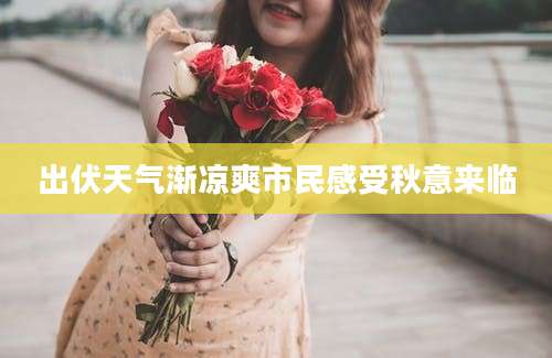 出伏天气渐凉爽市民感受秋意来临