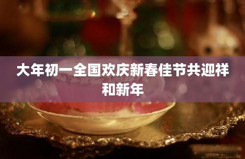 大年初一全国欢庆新春佳节共迎祥和新年
