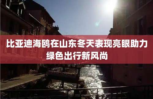 比亚迪海鸥在山东冬天表现亮眼助力绿色出行新风尚