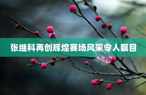 张继科再创辉煌赛场风采令人瞩目