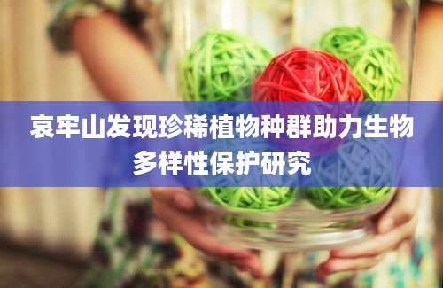 哀牢山发现珍稀植物种群助力生物多样性保护研究