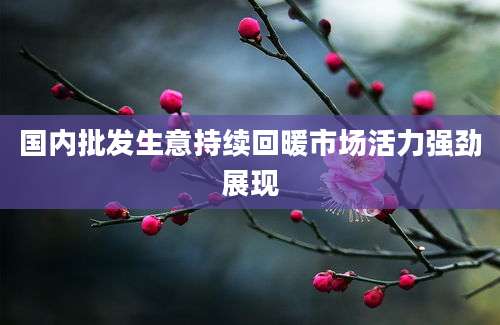 国内批发生意持续回暖市场活力强劲展现