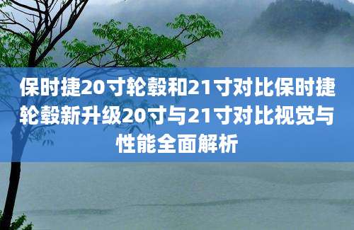 保时捷20寸轮毂和21寸对比保时捷轮毂新升级20寸与21寸对比视觉与性能全面解析