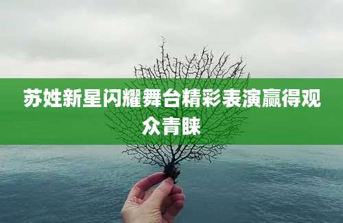 苏姓新星闪耀舞台精彩表演赢得观众青睐