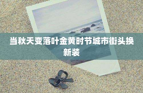 当秋天变落叶金黄时节城市街头换新装