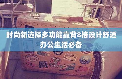 时尚新选择多功能靠背8格设计舒适办公生活必备