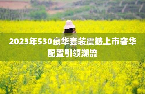 2023年530豪华套装震撼上市奢华配置引领潮流