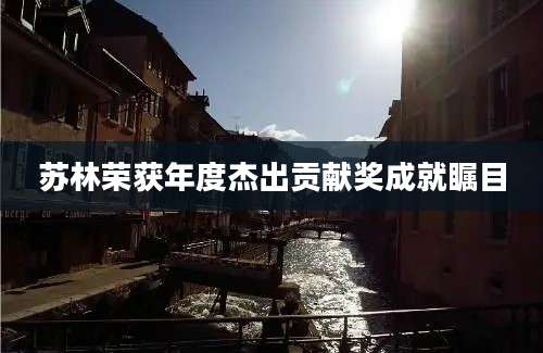 苏林荣获年度杰出贡献奖成就瞩目