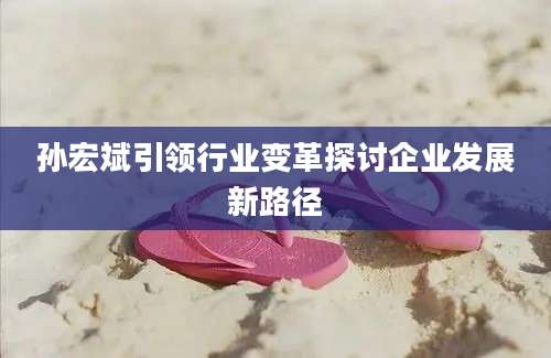 孙宏斌引领行业变革探讨企业发展新路径