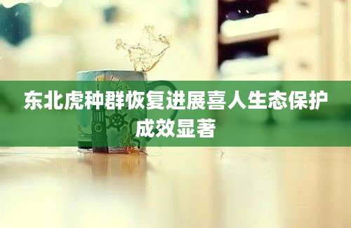 东北虎种群恢复进展喜人生态保护成效显著