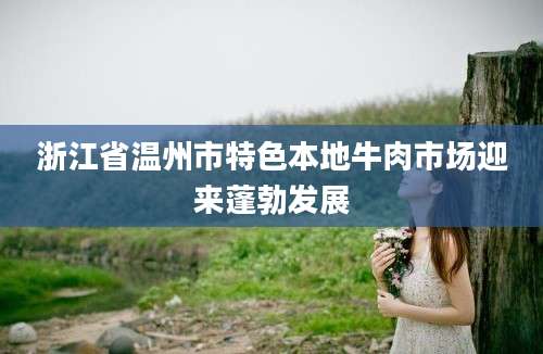 浙江省温州市特色本地牛肉市场迎来蓬勃发展