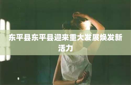 东平县东平县迎来重大发展焕发新活力