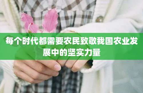 每个时代都需要农民致敬我国农业发展中的坚实力量