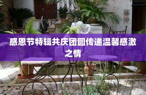感恩节特辑共庆团圆传递温馨感激之情