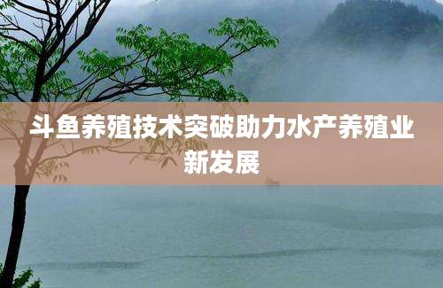 斗鱼养殖技术突破助力水产养殖业新发展