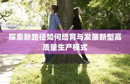 探索新路径如何培育与发展新型高质量生产模式