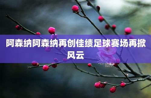 阿森纳阿森纳再创佳绩足球赛场再掀风云