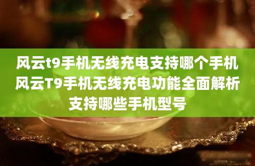 风云t9手机无线充电支持哪个手机风云T9手机无线充电功能全面解析支持哪些手机型号