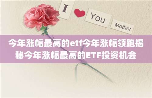 今年涨幅最高的etf今年涨幅领跑揭秘今年涨幅最高的ETF投资机会