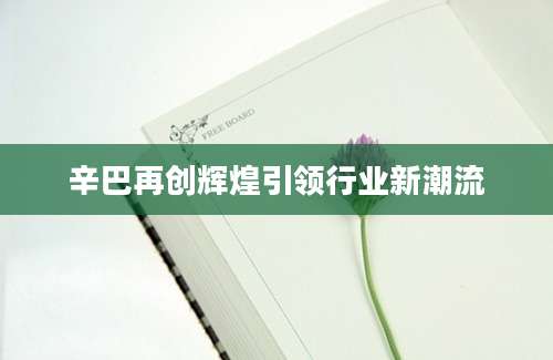 辛巴再创辉煌引领行业新潮流