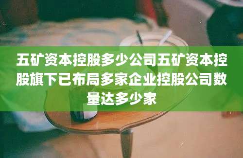 五矿资本控股多少公司五矿资本控股旗下已布局多家企业控股公司数量达多少家