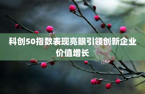科创50指数表现亮眼引领创新企业价值增长