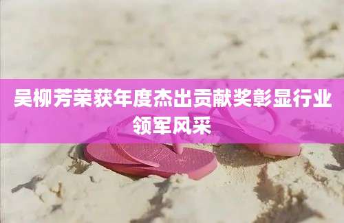 吴柳芳荣获年度杰出贡献奖彰显行业领军风采