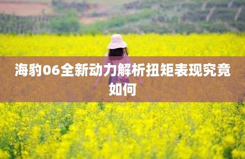海豹06全新动力解析扭矩表现究竟如何
