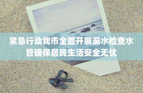 紧急行动我市全面开展漏水检查水管确保居民生活安全无忧