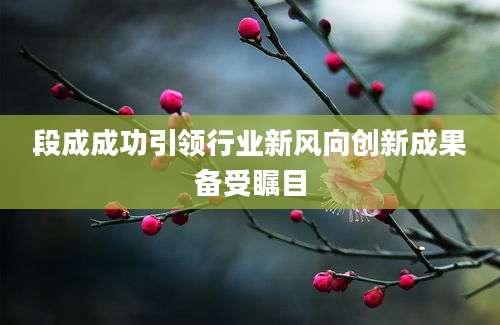 段成成功引领行业新风向创新成果备受瞩目