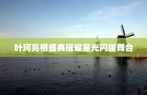 叶珂亮相盛典璀璨星光闪耀舞台