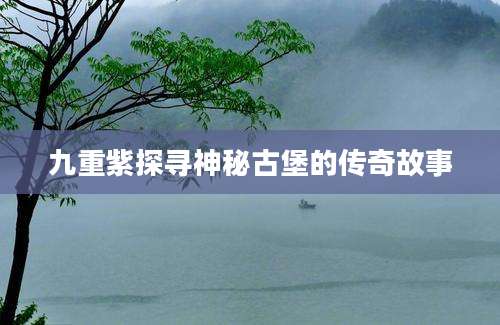九重紫探寻神秘古堡的传奇故事