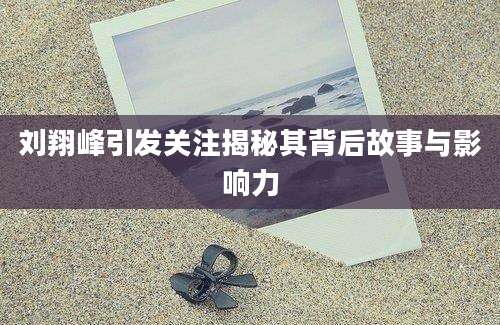 刘翔峰引发关注揭秘其背后故事与影响力