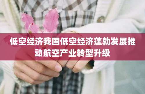 低空经济我国低空经济蓬勃发展推动航空产业转型升级