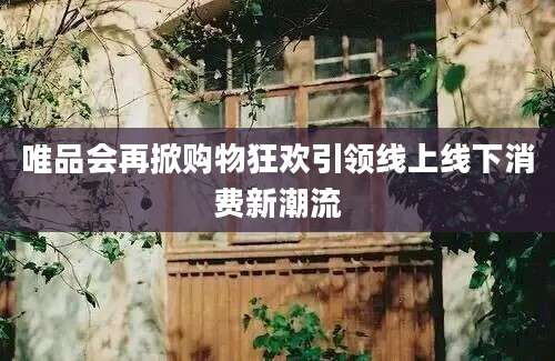 唯品会再掀购物狂欢引领线上线下消费新潮流