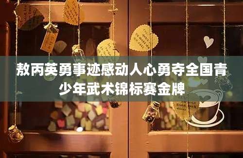 敖丙英勇事迹感动人心勇夺全国青少年武术锦标赛金牌